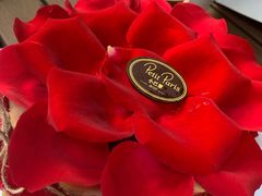-PETIT PARIS 小巴黎(凯德1818店)