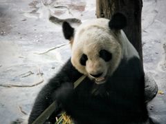 -济南野生动物世界