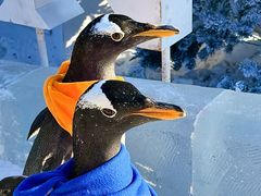 -波塞冬旅游度假区