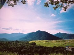 -清溪森林公园