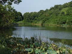 -福建鲤鱼洲酒店