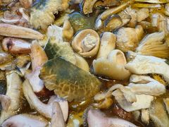 -爱膳菌锅锅(阳南店)