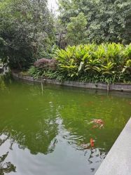 -莲生母婴月子中心(清水河公园店)