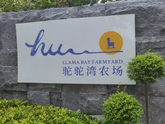 -静之湖度假区