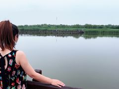 -西青郊野公园