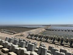 -南汇嘴观海公园