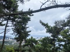 -棒棰岛宾馆景区