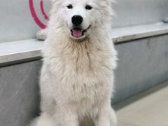 -汪说·狗咖(旺城大厦店)