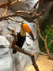 -Zoolung Zoolung动物主题公园(海信广场店)