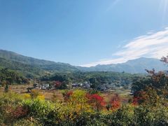 -塔川景区