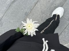 -侵华日军南京大屠杀遇难同胞纪念馆-停车场