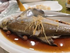 破布子午鱼-光头匠