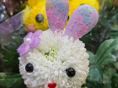 -朝来春花卉市场