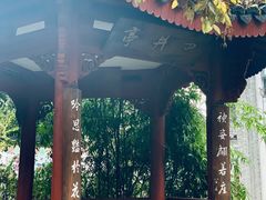 -杭州西湖风景名胜区-满觉陇四眼井