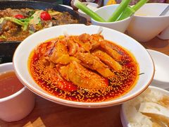 -老板恋上鱼(恒隆广场店)