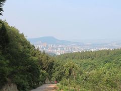 -原山国家森林公园