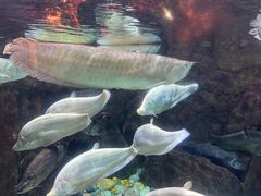 -成都浩海立方海洋公园