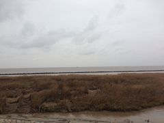 iphone_upload_pic-南汇嘴观海公园