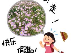 -尚贤河湿地