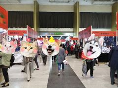 -中国国际会展中心-马甸购物街