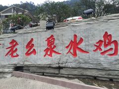 门口logo-老幺泉水鸡