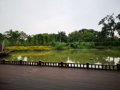 -盐官日光域房车营地·有盐餐厅