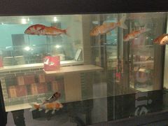 -六泰居·尔滨地标·东北菜(黄河路店)