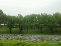 android_upload_pic-湖南东洞庭湖国家级自然保护区