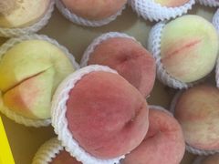 -老袁家蜜桃农场·阳山水蜜桃