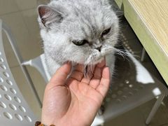 -Oasis绿洲银饰珍珠手作diy(壹方城店)