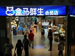 -盒马鲜生(莱蒙都会店)