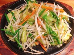鉄板蔬菜-九州酒场ひこぞう(1号店)