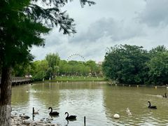 -上海野生动物园