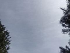 -洨河生态公园