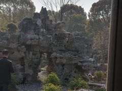 -上海鲜花港