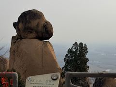 -嵖岈山风景区