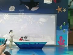-湖南省科学技术馆