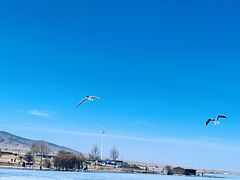 -青海湖国家重点风景名胜区