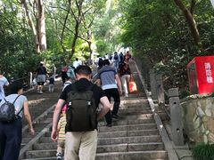 -上海佘山国家森林公园东门地面停车场