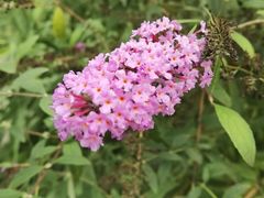 -国家植物园