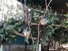 -可伦宾野生动物保护区