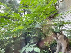 -猫的天空之城概念书店(苏州平江店)