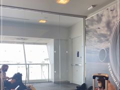 -约翰·菲茨杰拉德·肯尼迪国际机场