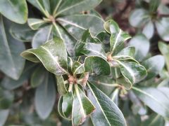 -苏州河梦清园环保主题公园