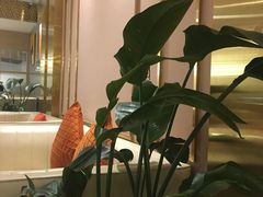 -玫瑰园餐厅