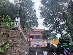 -泰山风景名胜区-普照寺