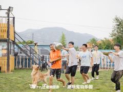 -趣玩宠物乐园寄养训犬训狗游泳池