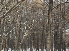 -长春市南湖公园