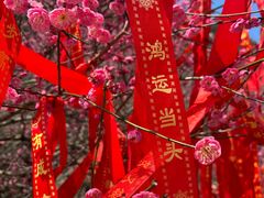 -车溪民俗旅游区