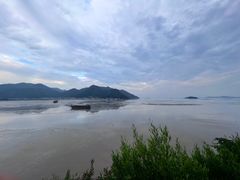 -北岐滩涂